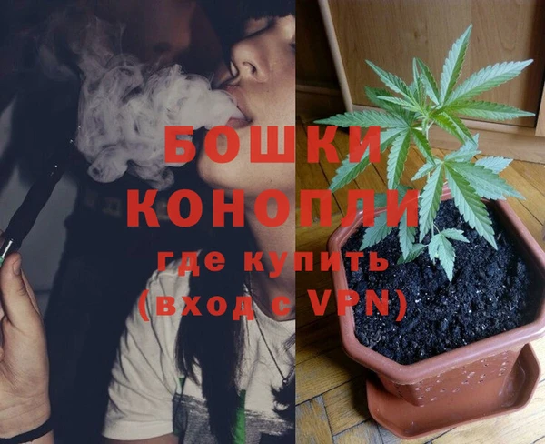 ГАЛЛЮЦИНОГЕННЫЕ ГРИБЫ Михайловск
