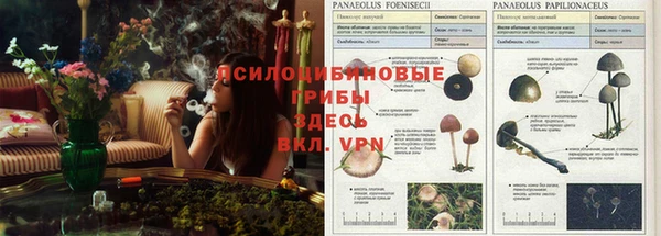 спайс Навашино