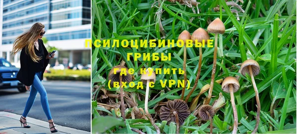 прущие крисы Нефтекумск