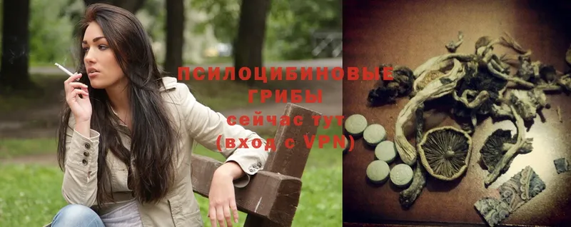 Псилоцибиновые грибы Psilocybine cubensis  купить наркотики сайты  Мосальск 