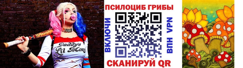 купить   Мосальск  Псилоцибиновые грибы мухоморы 